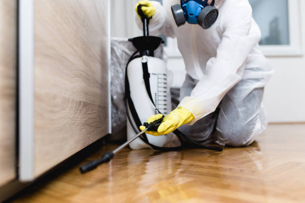 Best Affordable Pest Control Services  in Liberty, UT