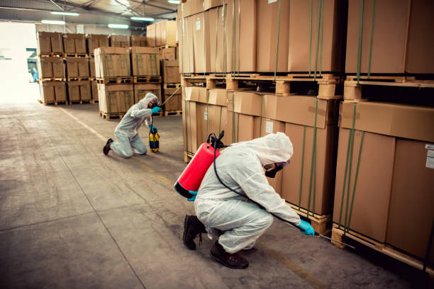 Best Mosquito Control Services  in Liberty, UT
