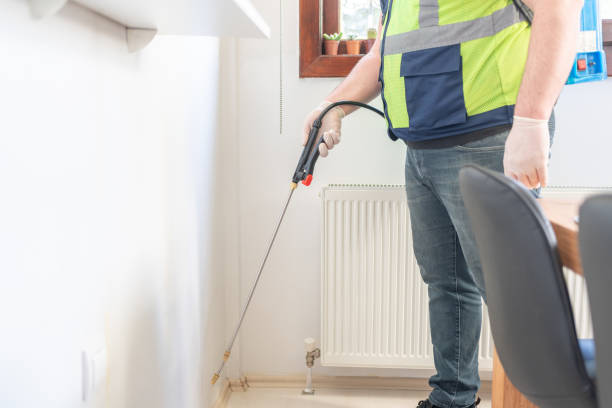 Flea Control Services in Liberty, UT