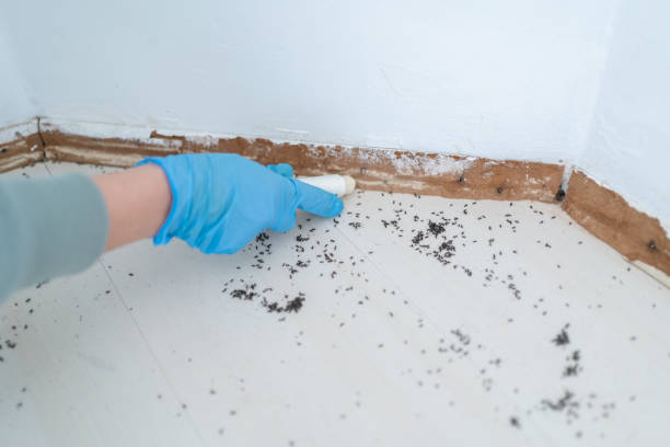 Best Pest Prevention Services  in Liberty, UT