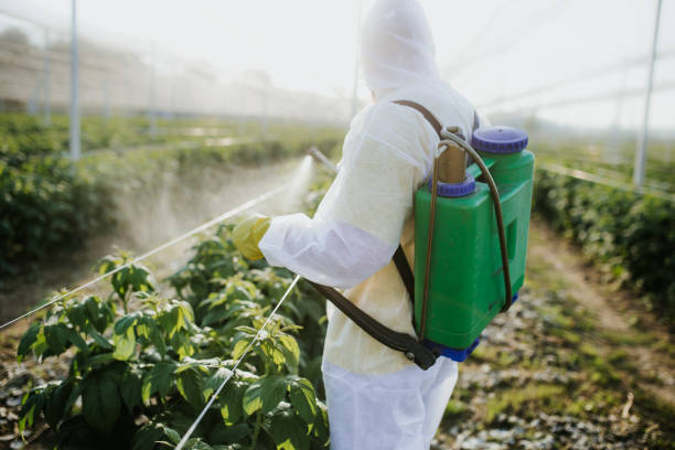 Reliable Liberty, UT Pest Control Solutions